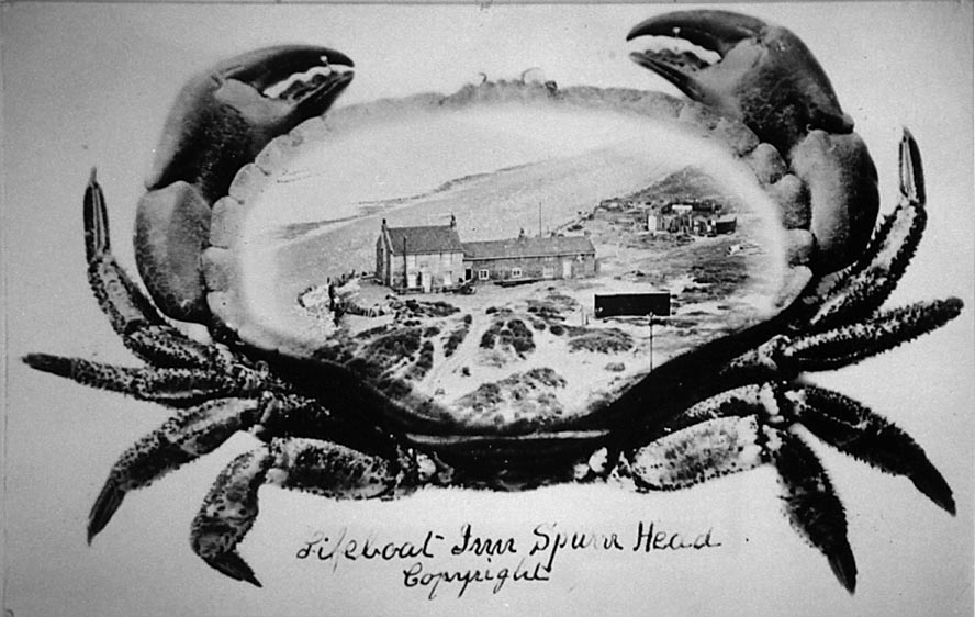 Crab with Lifeboat Inn