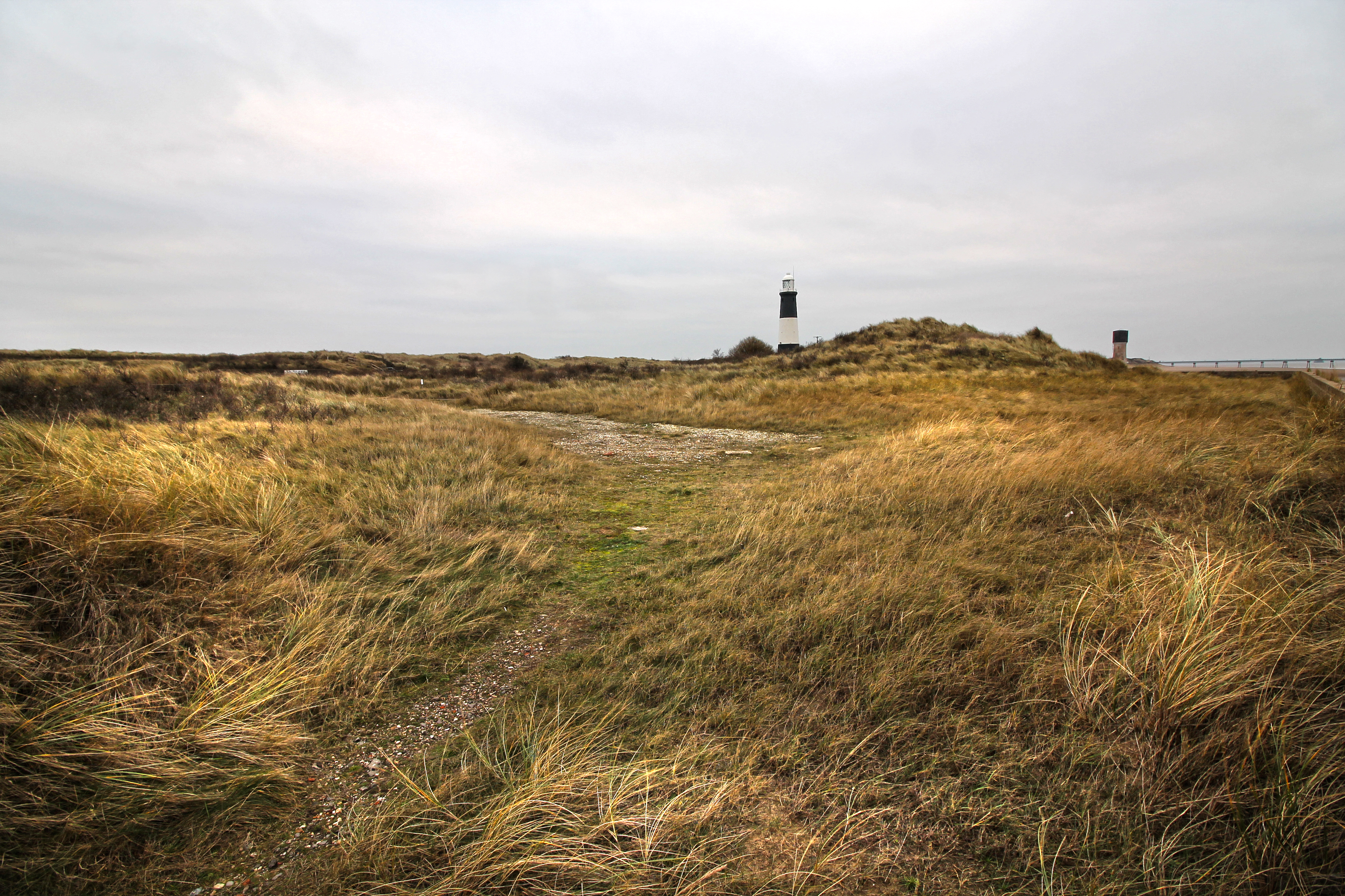 Site of Lifeboat Inn, looking SW, 2019